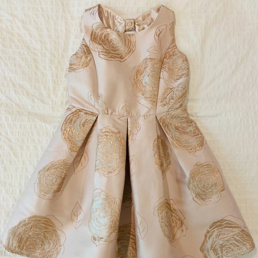 Childrens Place Girls Dress size 12
